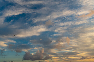 Sky with clouds. Cloudy skyscape background. Cloudscape sky background. Cloud in the sky. Background with cloud. Gloomy sky with overcast clouds. Skyscape and cloudscape