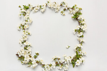 Frame made of beautiful blossoming branches on white background