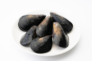 生のムール貝