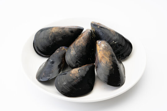 生のムール貝