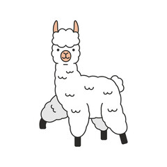 cute llama illustration