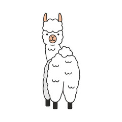 cute llama illustration