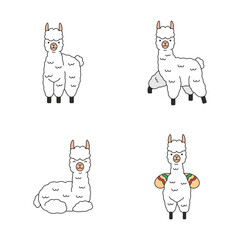 cute llama illustration