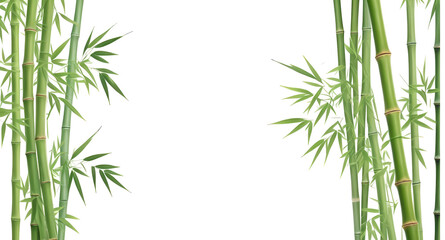 Fototapeta premium bamboo frame