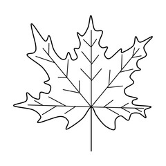 Naklejka premium Maple leaf outline raster drawing