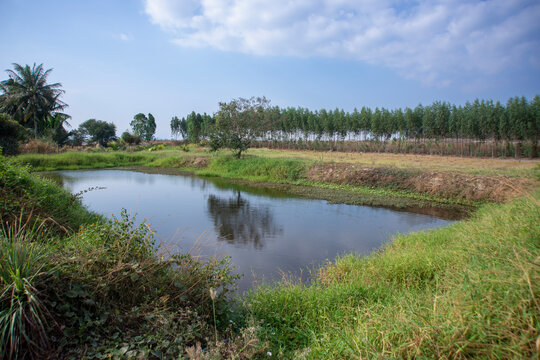 Rectangular pond that was dug for retain rainwater in an plantation of ​​Asia agricultural area.