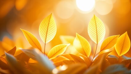  Autumns golden glow in natures palette