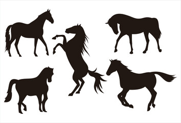 Set Horse Silhouette Collection Vector.eps
