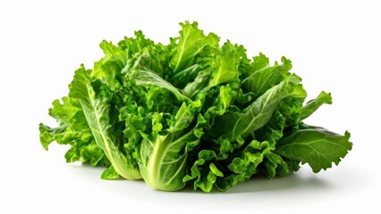  Fresh and vibrant green leafy vegetable