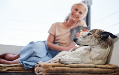 Book, reading and portrait of senior woman with dog on sofa for learning, knowledge or comfortable on balcony. Animal, story and elderly person with pet for hobby, literature or relax at home