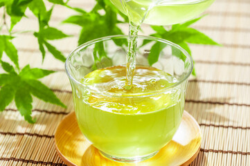 冷たい緑茶　緑茶　夏イメージ