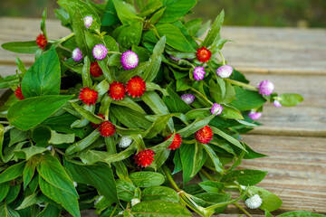 A bundle of gomphrena flowers resting on an outdoor picnic table. Red, white, and purple and white flowers.