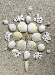 貝殻と石の花