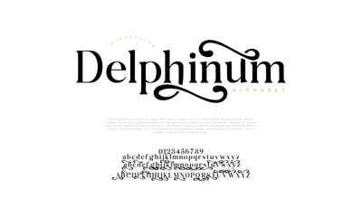 Delphinum swash luxury elegant alphabet letters and numbers. Vintage wedding typography classic serif font decorative vintage retro. creative vector illustration
