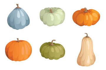 Autumn colored pumpkins set. Postcard or banner. Cartoon pumpkins, halloween squash, fall harvest gourds. Autumn thanksgiving and halloween pumpkins collection. Vector illustration.