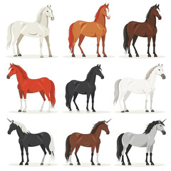 Icons Set of Different Horse Breeds on White Background