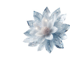 Obraz premium Crystal flower