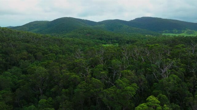 Cedar Creek Falls Reserve aerial drone Australia outback Aussie forest Whitsundays Airlie Beach Proserpine Palm Grove QLD Queensland farmland spring summer autumn winter sunny cloudy circle right