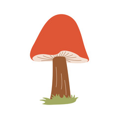 Cute Mushroom Fungi Fungus Food Vector Illustration Sticker in the Park