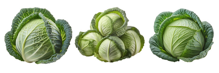 Fototapeta premium green cabbage isolated on transparent background