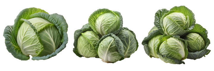 green cabbage isolated on transparent background