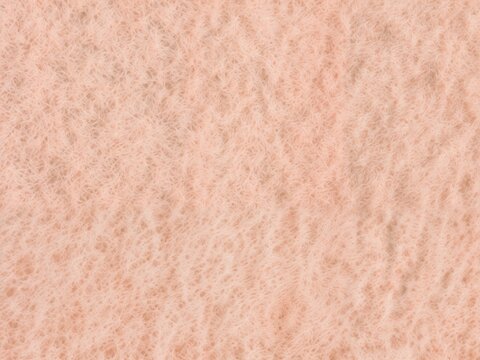 Vibrant Peach Fuzz background texture, perfect for summer-themed designs. Ideal for posters, flyers, and digital media.