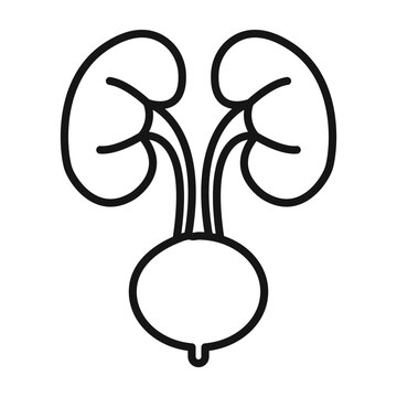 recommend clip art: Urinary system icon Black line art vector logo