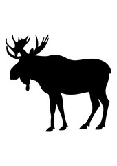 Moose | Hunting Moose | Forest | Camper Dad | Moose Antlers | Nature Animals | Hunter Dad | Outdoor Scene | Original Illustration | Vector and Clipart | Cutfile and Stencil