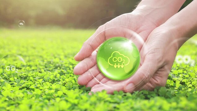 Woman hand on grass with green globe, CO2 icon and carbon bubbles slowly showing up. Reduce carbon emissions to limit global warming and climate change. Ecology, environmental, nature, concept. 4k VDO
