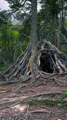 Wooden shelter in the Cerro Mackay forest. Coyhaique, Patagonia Chile