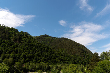 Green forested hillside under blue sky with wispy clouds.