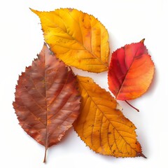 Fototapeta premium Autumn Leaves in Vibrant Hues Create a Stunning Seasonal Display