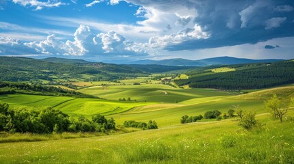 Agroecosystems: Ecosystems altered for agricultural use, encompassing croplands, pastures, and orchards, designed to support farming and livestock production.
