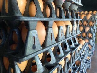 A lot of eggs from chicken farm in the black plastic trays for sale. Reuse package of the egg business.