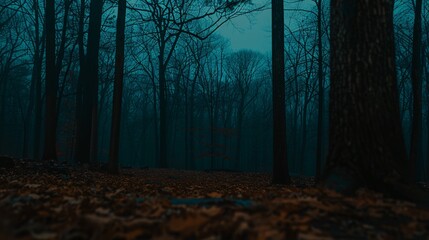 Fototapeta premium Mysterious Forest Path in Blue Hues