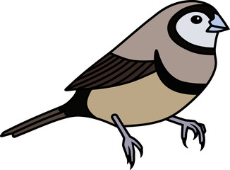 illustration of brown cute owl finch