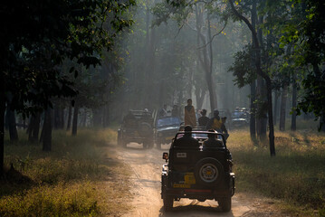 Embark on thrilling wildlife safaris in India to spot tigers, elephants, leopards, and more amidst diverse landscapes and rich biodiversity. © Venturing into wild