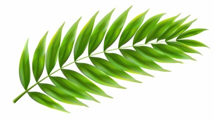 Fototapeta premium Stunning watercolor illustration of a vibrant green palm leaf with intricate fronds, evoking tropical vibes.