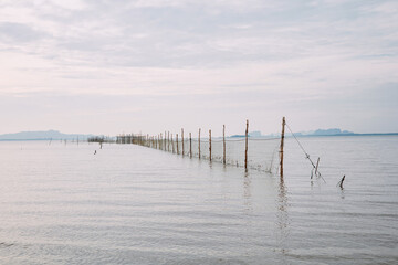 A line of trees to set up nets in the sea, the way of local fishermen.