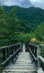Wooden suspension bridge over the Ventisqueros River. Puyuhuapi, Patagonia Chile