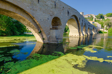 Pont Vieux- A bridge spans a river with a castle in the background