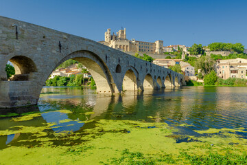 Naklejka premium Pont Vieux- A bridge spans a river with a castle in the background
