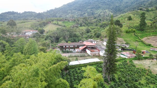 Traditional Coffee Farm - Hacienda la Pradera