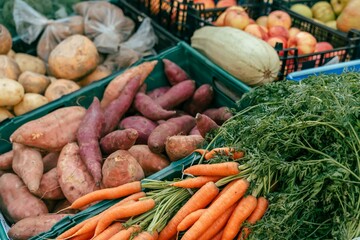 Fresh produce at a market, including sweet potatoes, carrots and other vegetables. The produce is displayed in crates.  The carrots have their green tops attached.
