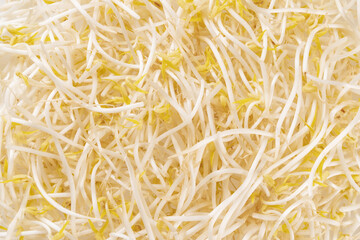 Close up of stacked raw mung-bean sprouts, South Korea
