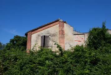 Old deserted farm cottage surrounded by fields.