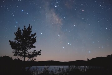 Fototapeta premium Tranquil Night Sky with Milky Way Over Lake and Silhouetted Tree Perfect for Astronomy Posters, Nature Prints, and Nightscape Designs