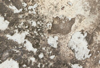 concrete wall background