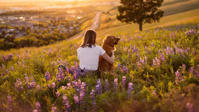 Girl and her dog in a golden field of wildflowers at sunset