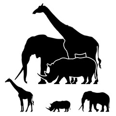 Fauna of Africa: elephant, giraffe, rhinoceros